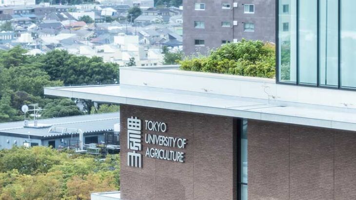 自然科学と社会科学を幅広く学ぶ「総合農学」地球と生命の〈未来〉を科学し、人類の営みを支え続けるー東京農業大学