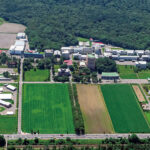 本場・北海道での現場体験があなたを変える―酪農学園大学